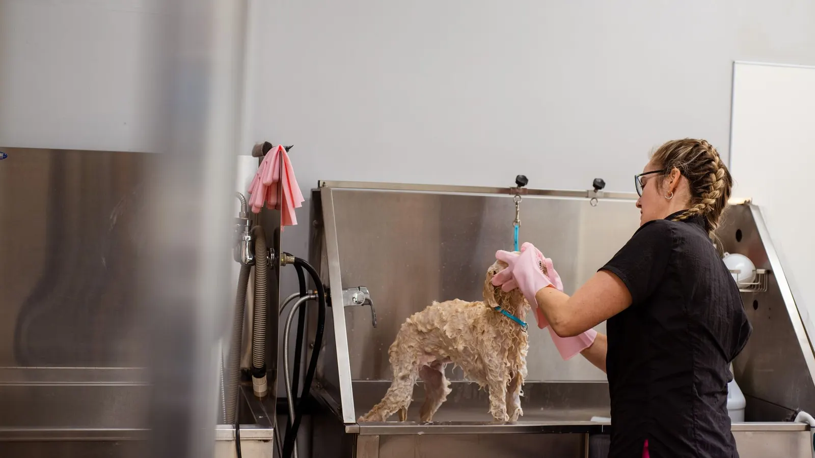 Salons, spas and grooming studios